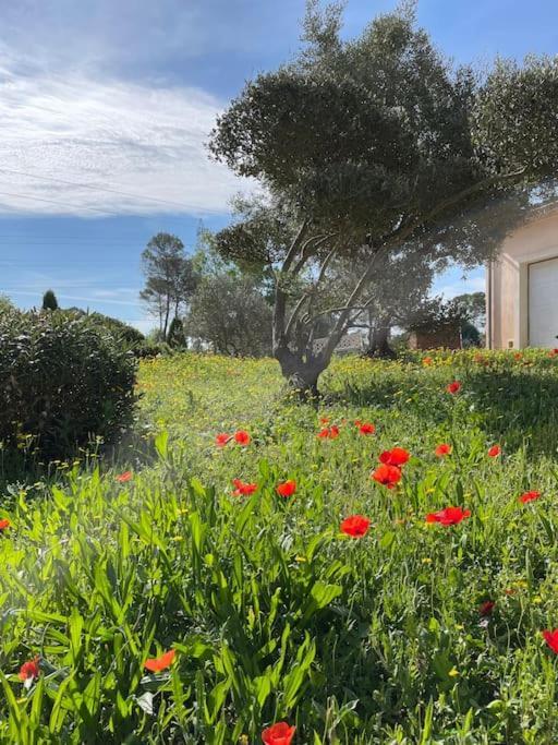 Le Calme De La Campagne Proche De Tout..... Holiday home Les Arcs-sur-Argens